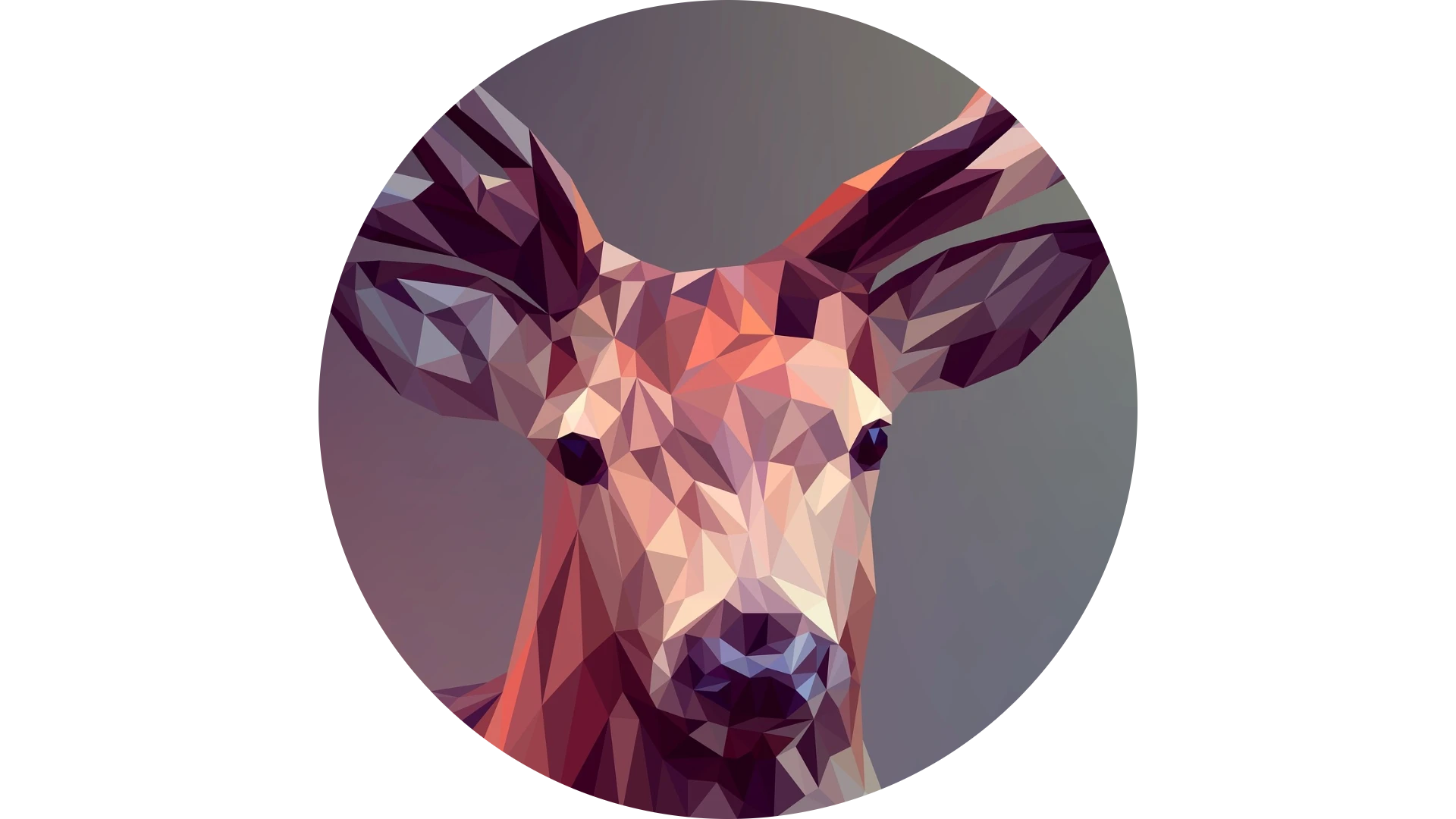 Photo d'un cerf designer